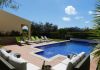 Villa Arca swimming pool and palm trees